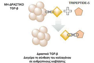 regfac Bioregen